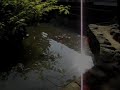 Shinano Kokubunji Temple