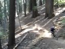 Downieville DH Justin
