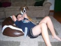 My Boxer Mojo