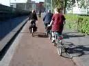 biking bike