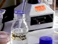 Evolution The Common Genetic Code
