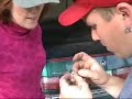 AMAZING! hummingbird saved from spiders web!