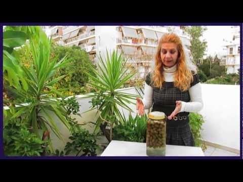 how to cure green olives