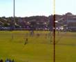Newtown Jets vs Manly Newtown Jets vs Manly