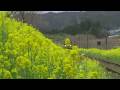 2009年3月22日(日) いすみ鉄道城見ヶ...