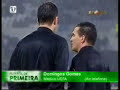 Miki feher