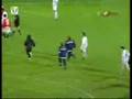 Miki feher