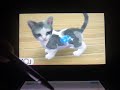 the first video on nintendogs. you can call it a lets play if you want. this video will show you. how does the 3ds look? my dog and cat how to brush a cat or dog ar games cute girl game jerk cat not coming when i call him how to use ar games how to feed your cat dog how to fail at calling your cat cats with blue eyes