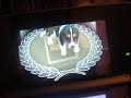 the first video on nintendogs. you can call it a lets play if you want. this video will show you. how does the 3ds look? my dog and cat how to brush a cat or dog ar games cute girl game jerk cat not coming when i call him how to use ar games how to feed your cat dog how to fail at calling your cat cats with blue eyes