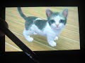 the first video on nintendogs. you can call it a lets play if you want. this video will show you. how does the 3ds look? my dog and cat how to brush a cat or dog ar games cute girl game jerk cat not coming when i call him how to use ar games how to feed your cat dog how to fail at calling your cat cats with blue eyes