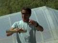 2/6 Gerolf Heinrichs Laragne Sprogs Talk