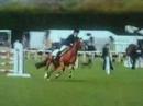 Stormy in 1.20m jumpoff @ Timaru show