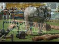 ROYAL WELSH SHOW 2008 - A BRIEF ENCOUNTER -