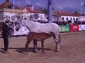 Expoégua Golegã 2008