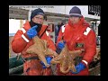 Strange Creatures of the Deep