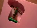 R A L Collectables (Ral Method) shipping secret exposed