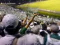 Palmeiras 1 x 0 Fluminense - Mancha Verde