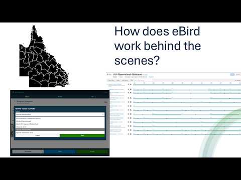 <p>Call the Bird Police! – eBird from the perspective of a state-wide eBird reviewer.</p>
 video thumbnail