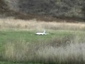 Glenns Airbus 380 take 2.wmv