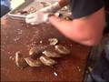 Wellfleet Oyster Shuck-Off: Final Round