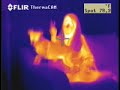 infrared thermography FLIR thermal imaging hand held cameras infrared thermography FLIR thermal imaging hand held cameras