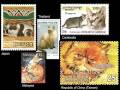 A Cat's Stamp of Approval