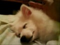 Kimo wake up!!