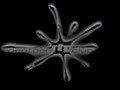 Vortex Involute - Bam Vortex Involute - Bam