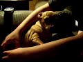 Mable the talking dog