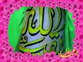 seyed javad zaker-??? ???? ?????