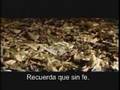 Perseverancia