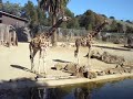 what happens at the zoo...stays at the zoo