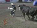 Calgary Stampede Zeb Lanham Bull Riding Wreck