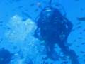 Cirkewwa Dive May 2008