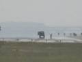 Vehicle on Runway at DCA