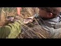 Backcountry New Zealand Spring Creek Fly Fishing Backcountry New Zealand Spring Creek Fly Fishing