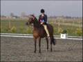videos de R.I.P. Roselea Shearer