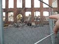 The bibb mill aftermath