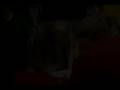 videos de Announcements 8-20-08