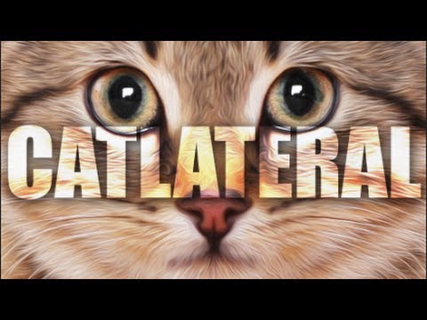 SIMULADOR DE GATO MALVADO - Mierdijuegos 29