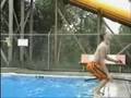 Click to view:&nbsp;Pool flip gone wrong