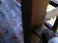 Mannion Pressure Washing Deck After