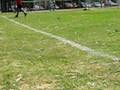 videos de Silva vs. El Rejunte