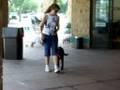 Jeni goes Shopping with her e-collar/Pager collar