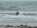Boogie Boarding