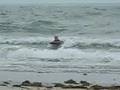 Boogie Boarding