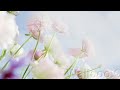 رومانسيات,,