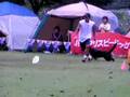 Groenendaelぶりちゃんのフリスビー大会