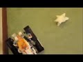 Lego Mars Mission Crystal Reaper Series 1 Video 3