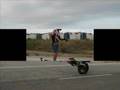 doideira e ratinho o terror
